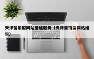 河池天津营销型网站搭建服务（天津营销型网站建设）